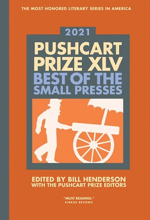 Cover of Pushcart Anthology Volume 45