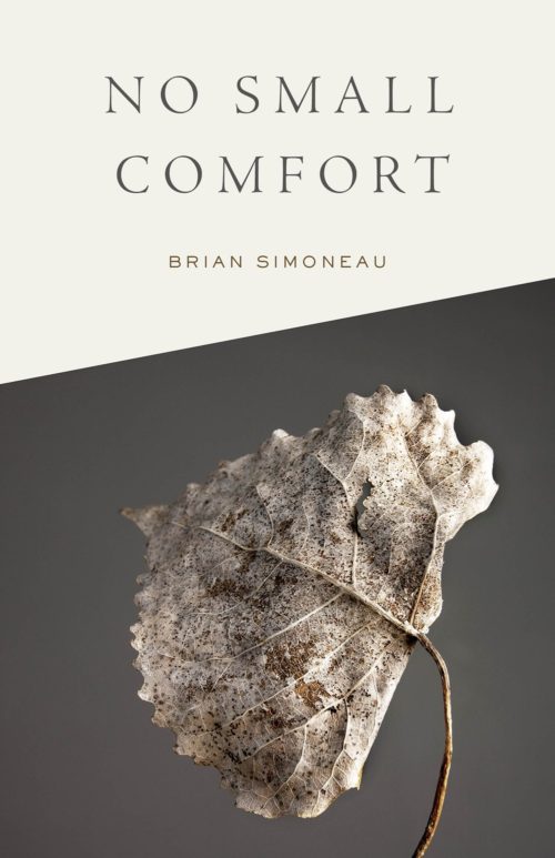 The cover of No Small Comfort