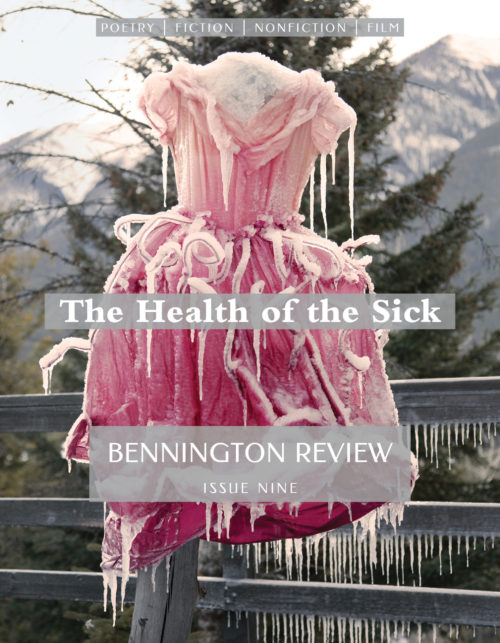 image of Bennington Review issue 9 cover