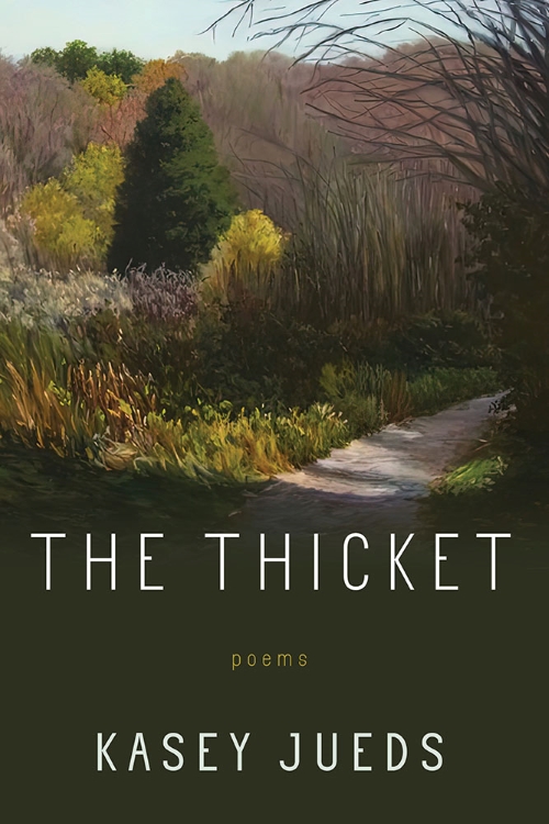 cover of The Thicket