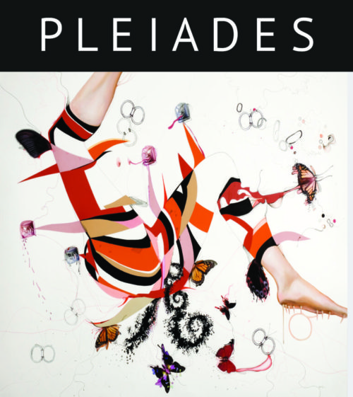 Cover of Pleiades 41.2