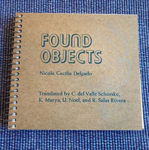 Cover of Found Objects