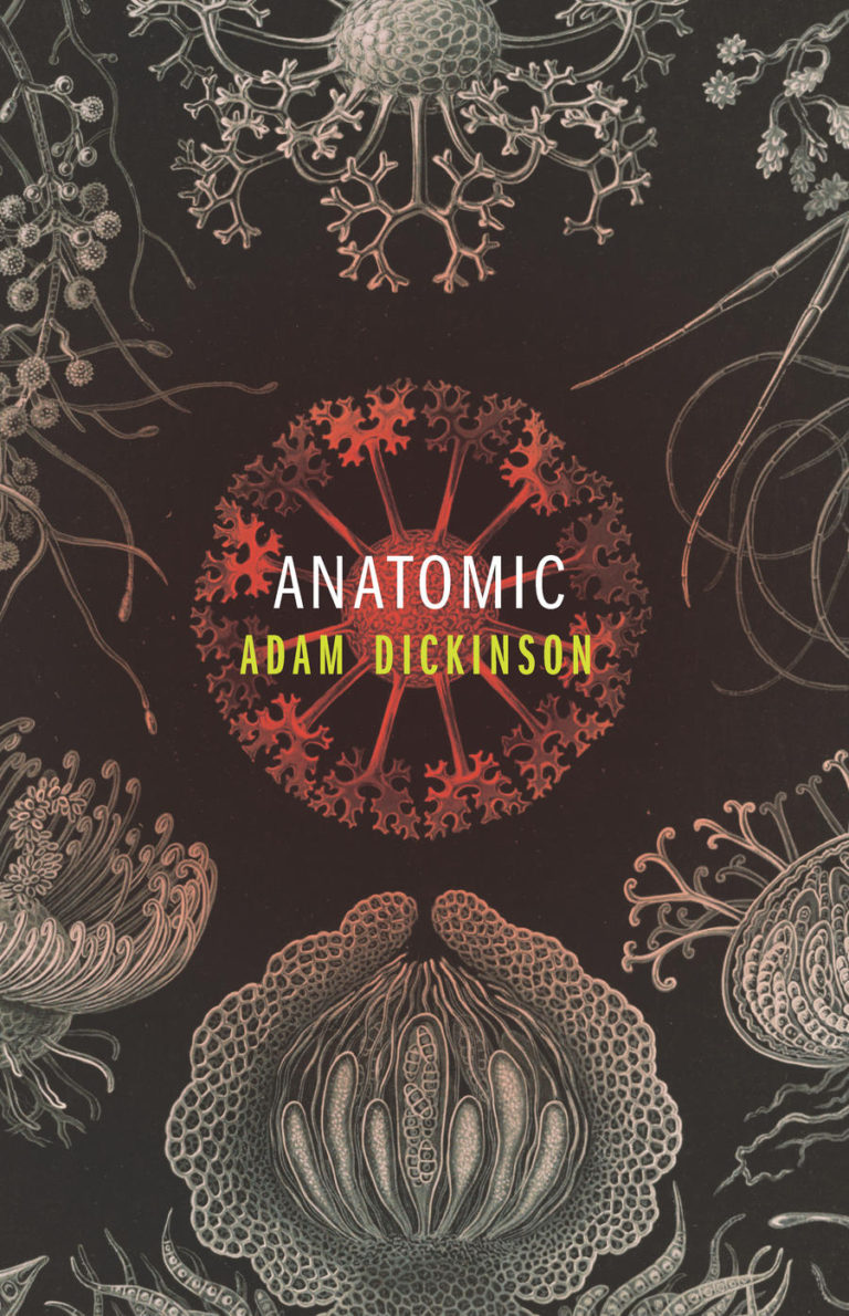 cover of anatomic