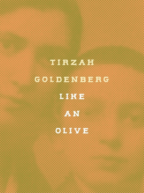 cover of Like an Olive