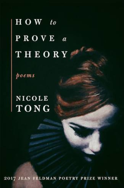 Cover of How to Prove a Theory