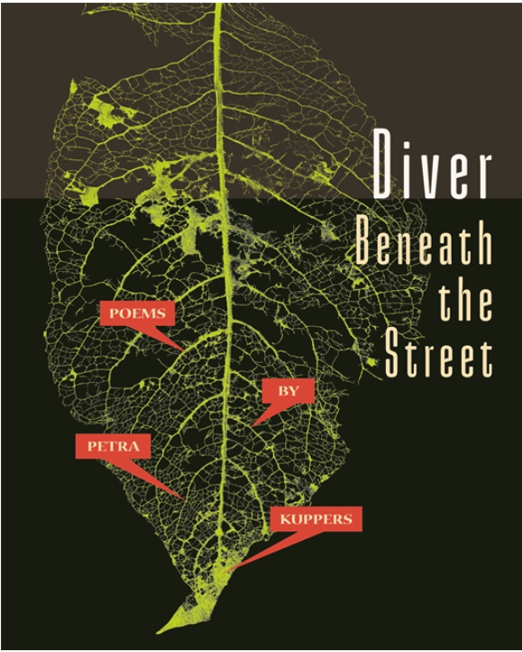 Cover of Petra Kuppers' DIVER BENEATH THE STREET