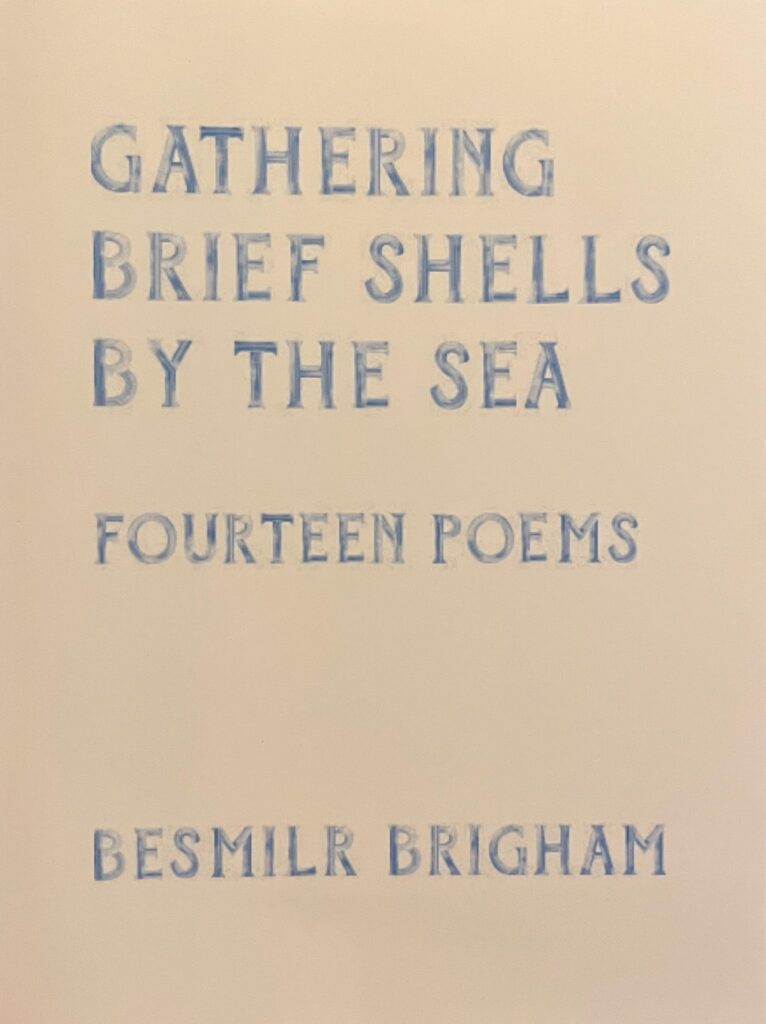Cover of Gathering Brief Shells by the Sea by Besmilr Brigham