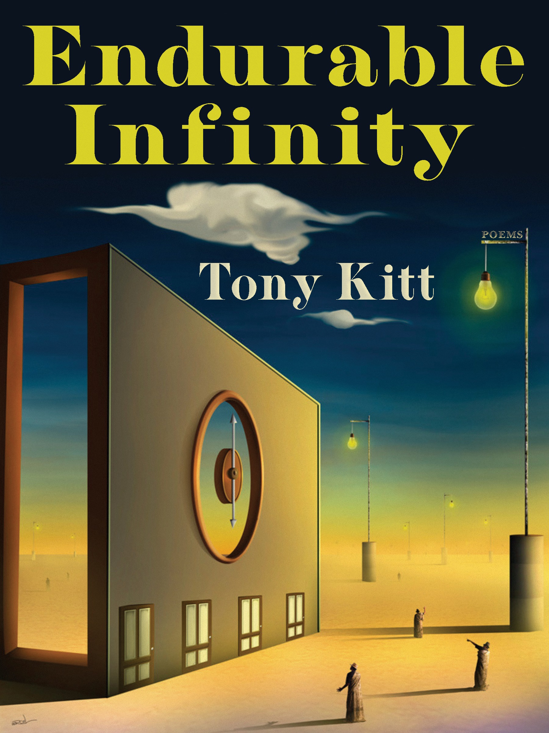 Cover of Endurable Infinity by Tony Kitt