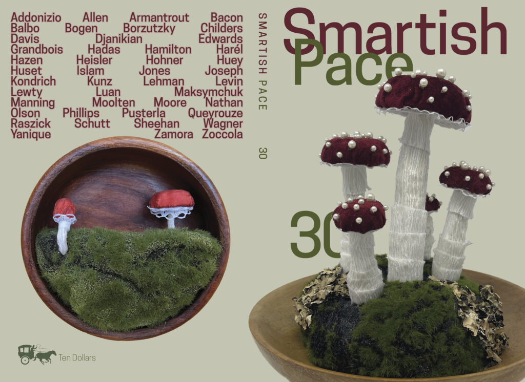 Smartish Pace Issue 30 Cover, mushrooms with pearls growing from fungus