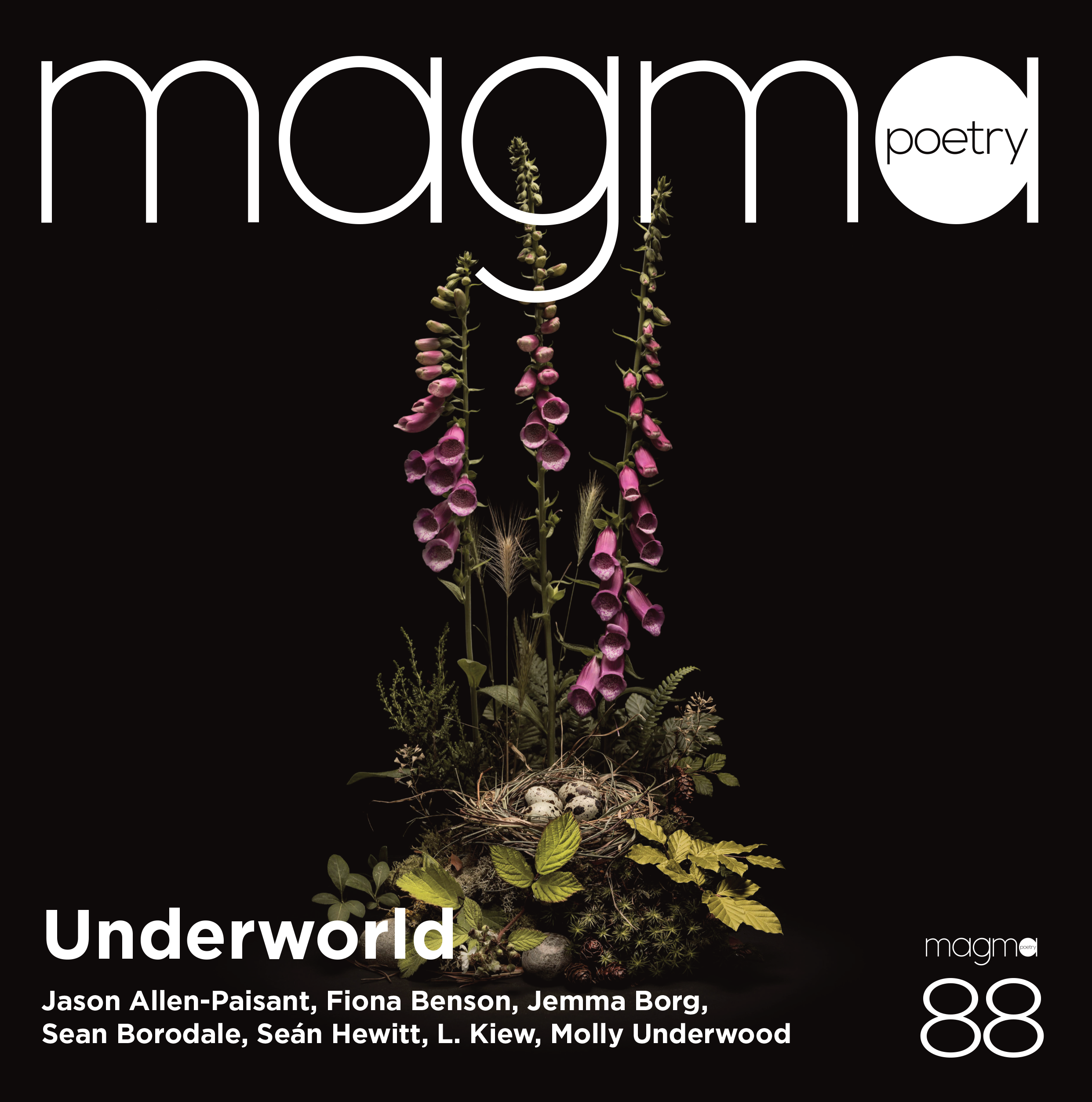magma 88 issue