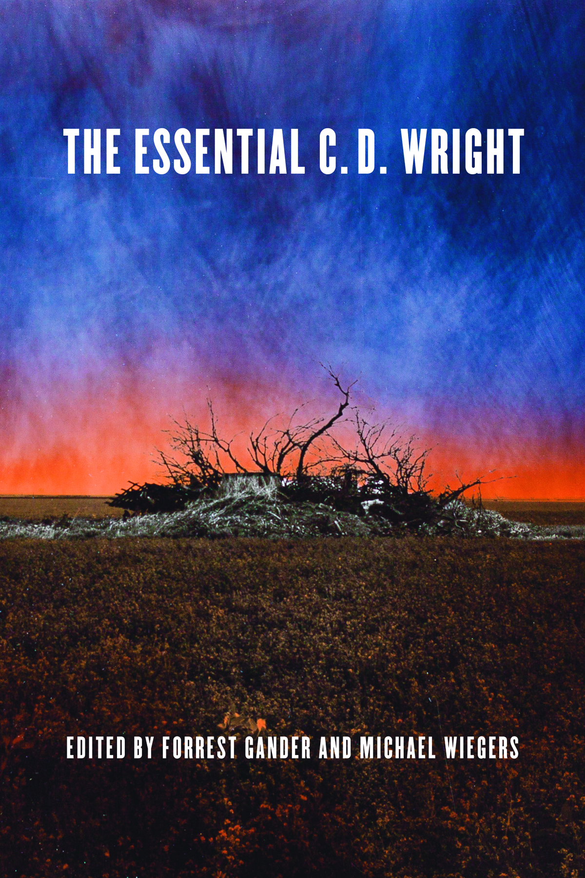 Cover of The Essential C.D. Wright