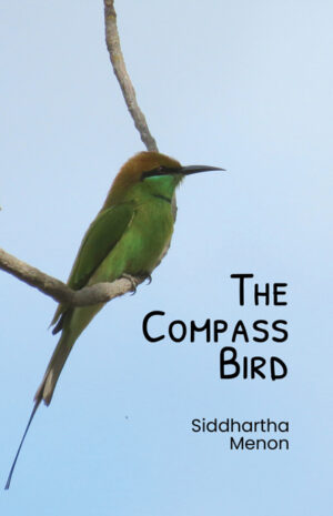 Siddhartha Menon on Epigraphs and “Captivity”