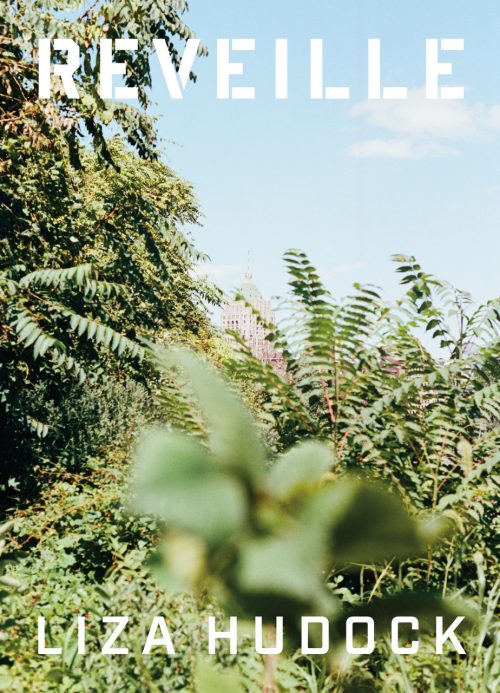 Color image of the cover of Lisa Hudock's first collection, Reveille