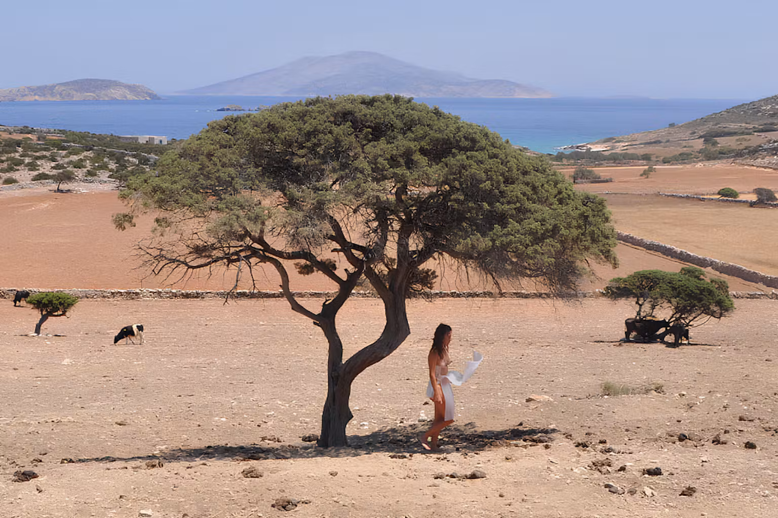 From The Conversation: – "Giannisi’s poetry challenges the delusion that humans stand apart from nature, either as masters or saviours. Instead, she invites her readers to recognise that we are composite creatures..."